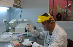 Laboratorio
